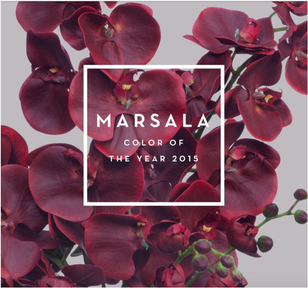 Цвет 2015 года - Марсала